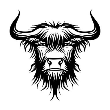 Uzun saçlı ve basit bir arkaplan karşısında öne çıkan boynuzlu bir İskoç İneği 'nin Karmaşık Çizimi