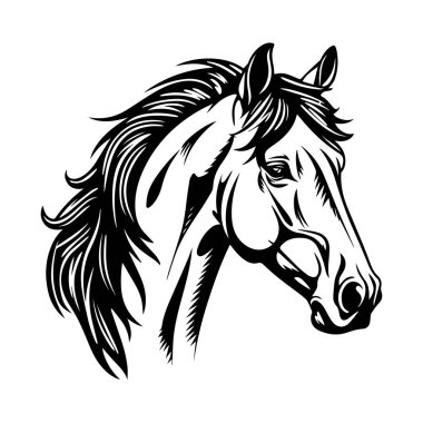 Akan Yeleli Zarif Siyah ve Beyaz At Başı Atların Güzellik ve Gücünü Ele Geçiriyor