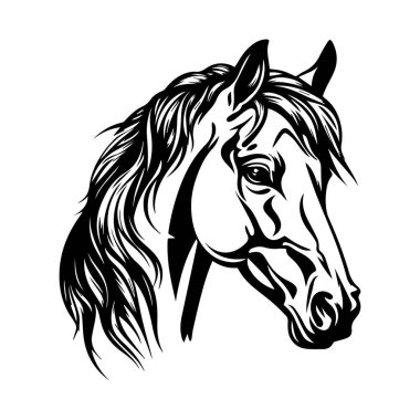 Bir At Başının Görkemli Siyah ve Beyaz Temsili Sanatsal Biçimli Detaylı Yeleli ve Etkileyici Özellikleri