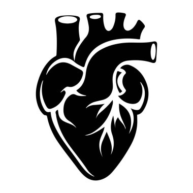 Detaylı Tıbbi ve Sanatsal Kullanım Odalarıyla Anatomik Kalbin Karmaşık Siyah ve Beyaz İllüstrasyonu