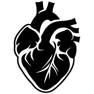 Eğitimsel kullanım için atardamar ve damarları gösteren insan kalbi anatomik yapısının ayrıntılı siyah beyaz çizimi