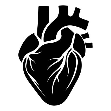 İnsan Anatomisini Ayrıntılı Damarlar ve Atardamarlarla Temsil Etmek İçin Siyah ve Beyaz Biçimli Anatomik Kalp İllüstrasyonu