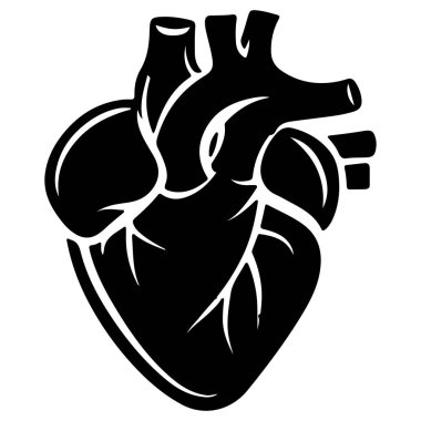 Eğitim ve Tıbbi Amaçlar İçin Vasküler Yapılarla İnsan Kalbi Anatomisinin Detaylı Resmedilmesi