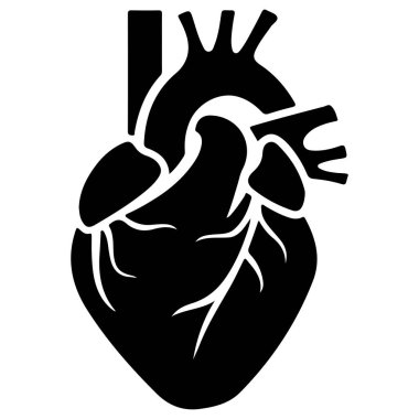 Yaratıcı Tasarım Anatomisi, Biyolojisi ve Sağlık Konseptlerini Temsil Eden Bir İnsan Kalbi 'nin Detaylı ve Sanatsal Kara Silüeti