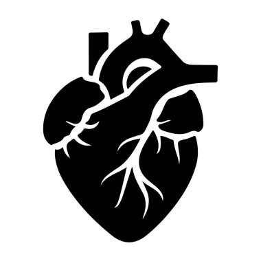 Tıbbi ve Eğitimsel Amaçlar İçin Kalp Anatomisinin Sanatsal Siyah ve Beyaz İllüstrasyonu