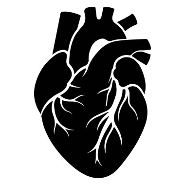 İnsan Kalbi 'nin Siyah Silüet Anatomik Özeti Kan Damarları ve Tıbbi Resimler Odası Detayları