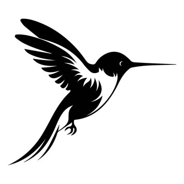 Uçan bir sinekkuşunun zarif silueti. İyi detaylandırılmış kanatları ve temiz bir arkaplana karşı zarif duruşu var.