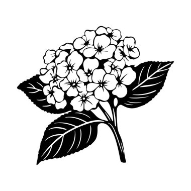 Yaratıcı Tasarımlar ve Tasarımlar İçin Yaprakları Olan Zarif Bir Çiçek Buketinin Siyah ve Beyaz Resmedilmesi