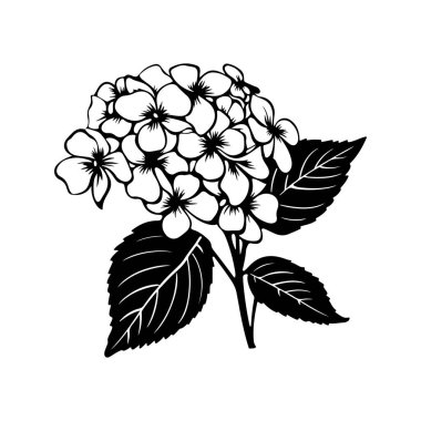 Zarif siyah ve beyaz çiçekli tasarım. Yaratıcı projeler için arka planda narin çiçekler ve gür yapraklar var.