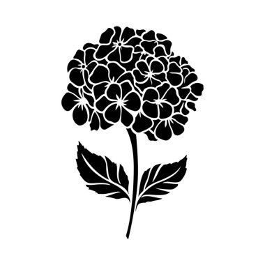 Grafik Sanatı ve Dekoratif Kullanım İçin Mükemmel Yapraklı Bir Çiçek Tasarımının Siyah ve Beyaz Silueti