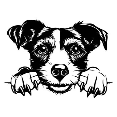 Yüzeyden Bakışları Oyuncu İfadesiyle Şirin Bir Köpeğin Siyah ve Beyaz Çizimi Evcil Hayvanlar ve Ticari Eşyalar İçin Mükemmel