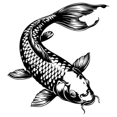 Zarif Hareketli Zarif Balık İllüstrasyon Tasarımı ve Sanat ve Doğa Teması İçin Karmaşık Ölçekler