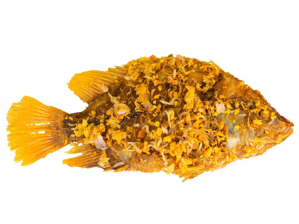 Τηγανητά Ψάρια Tilapia Τηγανισμένα Απομονωμένα Λευκό Φόντο Αυτό Έχει Ψαλίδισμα — Φωτογραφία Αρχείου