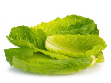 organik sebze yeşili çünkü beyaz arka planda marul bitkisi var. (Bunun kırpma yolu var)       