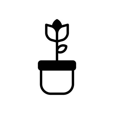 saksı bitkisi simgesi vektör şablonu
