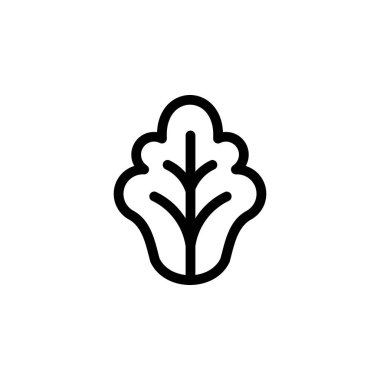 Marul Sebze Yiyecek Simgesi Vektörü