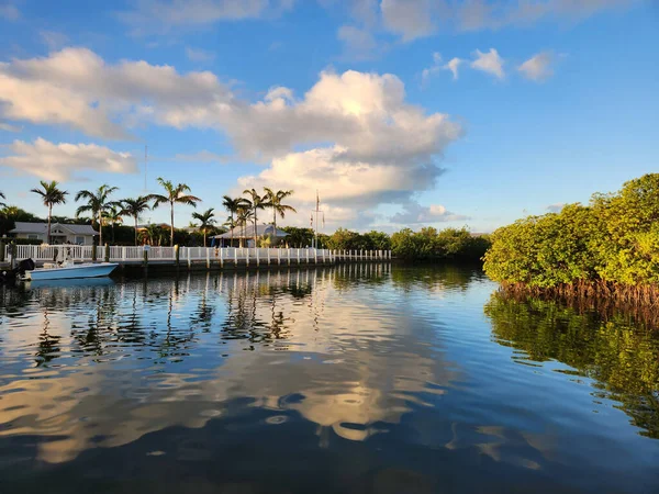 야자나무가 의경치는 플로리다주의 키웨스트에 운하에 반사되었다 — 스톡 사진