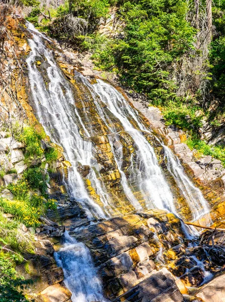 Bertha Falls Dans Parc National Des Lacs Waterton Alberta Canada — Photo