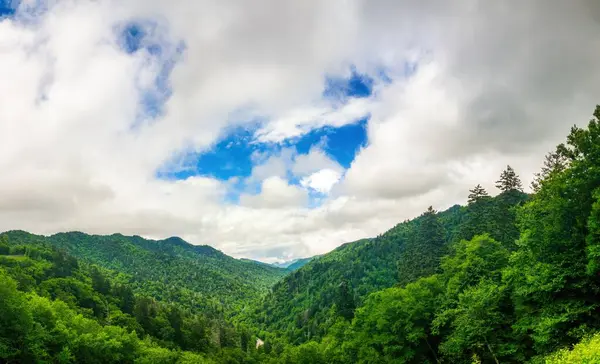 Great Smoky Mountains National Park Tennessee Una Giornata Tempestosa — Foto Stock