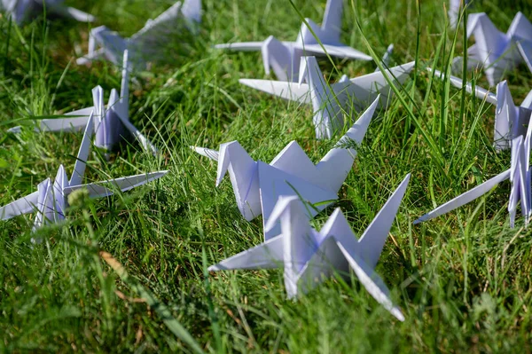 Japonlar taze çimlerin üzerinde Origami vinçlerini katladı. Yeşil alanda fotokopi alanı olan yüzlerce el yapımı kağıt kuş. 1000 bin vinç tsuru heykel konusu. Barışın, inancın, sağlığın, dileklerin ve umudun sembolü 