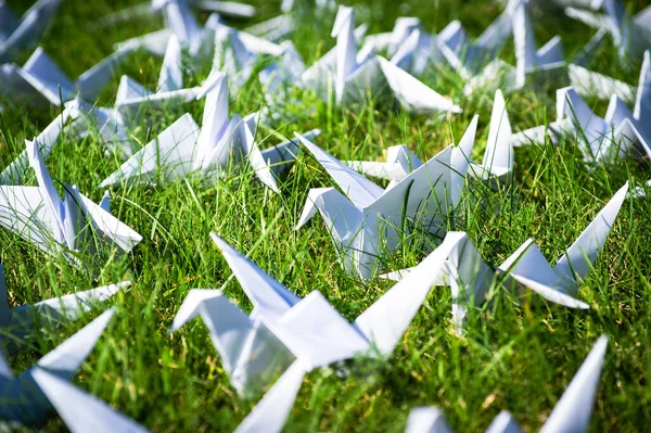 Japonlar taze çimlerin üzerinde Origami vinçlerini katladı. Yeşil alanda fotokopi alanı olan yüzlerce el yapımı kağıt kuş. 1000 bin vinç tsuru heykel konusu. Barışın, inancın, sağlığın, dileklerin ve umudun sembolü 