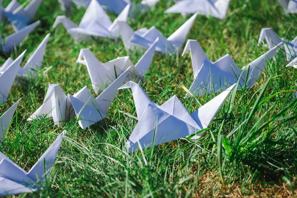 Japonlar taze çimlerin üzerinde Origami vinçlerini katladı. Yeşil alanda fotokopi alanı olan yüzlerce el yapımı kağıt kuş. 1000 bin vinç tsuru heykel konusu. Barışın, inancın, sağlığın, dileklerin ve umudun sembolü 