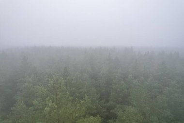 A stunning drone photo of a summer forest shrouded in thick fog. The mist creates a serene and tranquil setting, with an ethereal quality that enhances the natural beauty of the landscape.