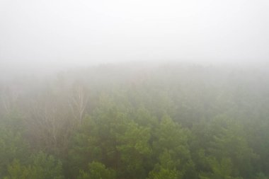 A stunning drone photo of a summer forest shrouded in thick fog. The mist creates a serene and tranquil setting, with an ethereal quality that enhances the natural beauty of the landscape.