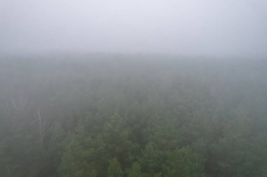 A stunning drone photo of a summer forest shrouded in thick fog. The mist creates a serene and tranquil setting, with an ethereal quality that enhances the natural beauty of the landscape.