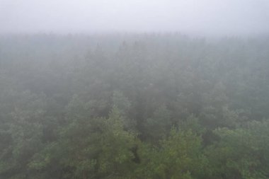 A stunning drone photo of a summer forest shrouded in thick fog. The mist creates a serene and tranquil setting, with an ethereal quality that enhances the natural beauty of the landscape.