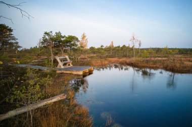 A drone photo of expansive summer swamps with winding streams, tall reeds and grasses, and green and brown wetlands. Capturing the natural serene nature scenery of this remote and unspoiled wilderness