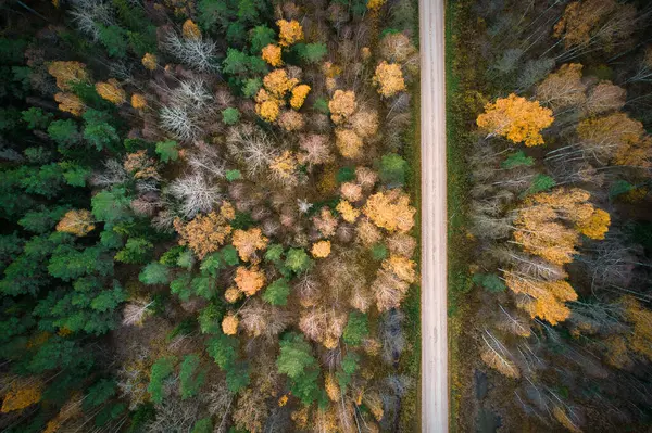 Flygfoto Full Ram Från Drönare Idyllisk Landsväg Som Leder Genom — Stockfoto