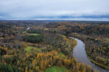 Yeşil çam ormanlarının ve altın ağaçların güzel dokusuna sahip sarı yaprakların üzerinde. Akşamları güzel sonbahar manzarası. Dağlar sonbahar renklerinde altın çağda