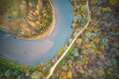 Yeşil çam ormanlarının ve altın ağaçların güzel dokusuna sahip sarı yaprakların üzerinde. Akşamları güzel sonbahar manzarası. Dağlar sonbahar renklerinde altın çağda