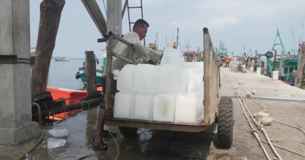 カンボジアのシアヌークビル 2023 アイスセラーは漁師に氷の1ブロックを運びます — ストック動画