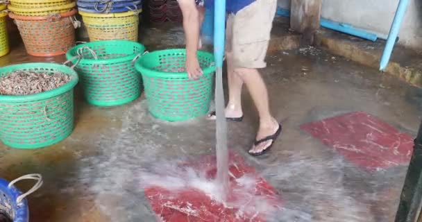 Sihanoukville Kambodscha 2023 Arbeiter Waschen Garnelen Mit Kaltem Wasser — Stockvideo