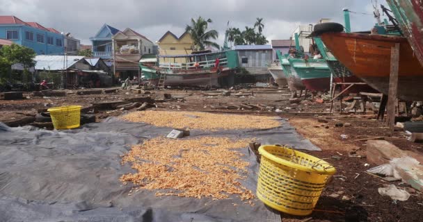 Close Shrimps Sun Dried Plastic Mat Men Repairing Fishing Boats — Stock Video