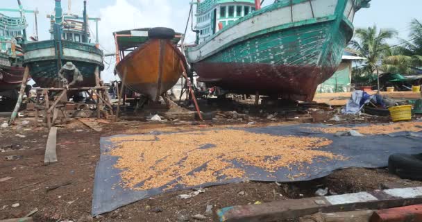 Sihanoukville Kambodja 2023 Närbild Räkor Soltorkad Plastmatta Flera Fiskebåtar Varvet — Stockvideo