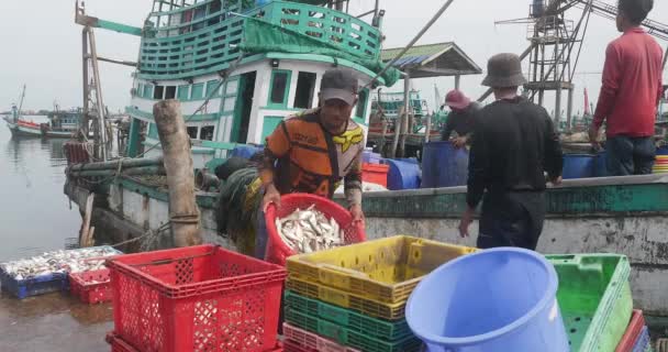 Sihanoukville Kambodja 2023 Fiskare Lossa Fångad Fisk Från Fiskebåten Till — Stockvideo