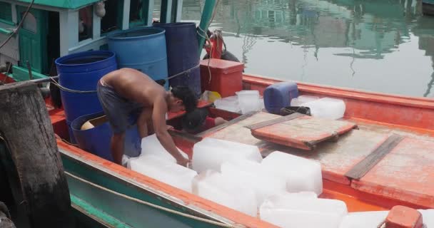 Sihanoukville Cambogia 2023 Equipaggio Dei Pescatori Carica Blocchi Ghiaccio Nel — Video Stock