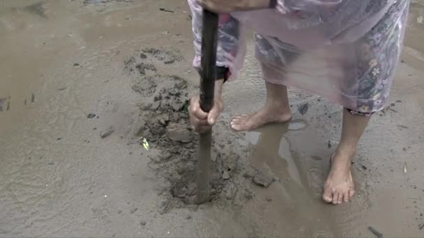 雨の中農場で穴を掘っている女性の近くに — ストック動画