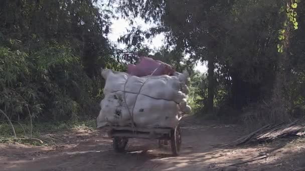 在乡间小路上看到一辆装有石榴袋的马车 — 图库视频影像