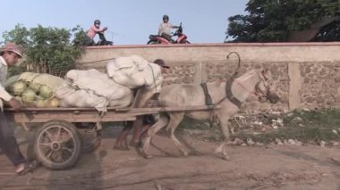 Kamboçya - Aralık 2013: Erkekler rıhtımdaki patikada pomelo yüklü bir at arabasını çekiyorlar