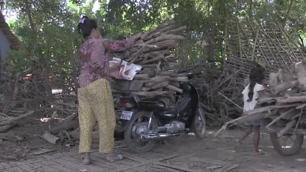 Kampong Cham Kambodża 2013 Pracownik Ciągnący Wózek Pełen Martwego Drewna — Wideo stockowe