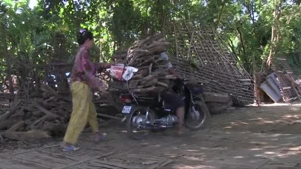 Кампонг Чам Камбоджа 2013 Мотоцикл Заднім Завантаженням Мертвої Деревини — стокове відео