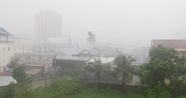Heavy Rainfall Gusty Wind Houses Sihanoukville Town — Stockvideo