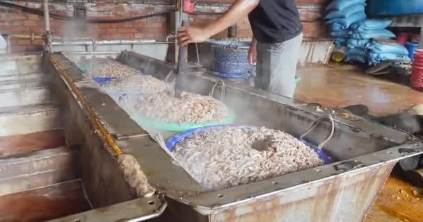 Sihanoukville Kambodscha 2023 Sicherheitsvorkehrungen Beim Kochen Von Garnelen Tanks Arbeiter — Stockvideo