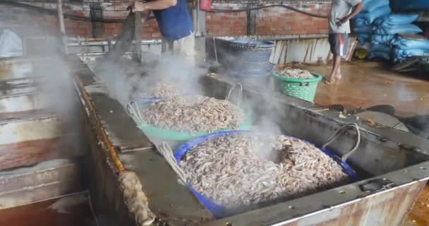 カンボジアのシアヌークビル 2023 沸騰したエビの上にふたをタンクに置く労働者 — ストック動画