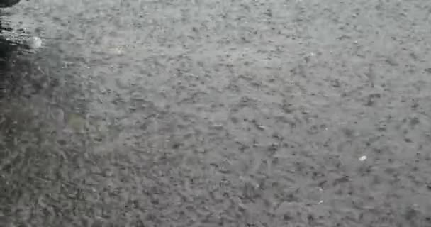Close Heavy Rainfall Falling Flooded Street — Stock Video