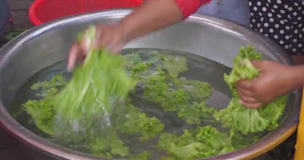 Extreme Nahaufnahme Einer Frau Beim Putzen Von Salatblättern Mit Wasser — Stockvideo